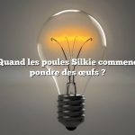 Question : Quand les poules Silkie commencent-elles à pondre des œufs ?